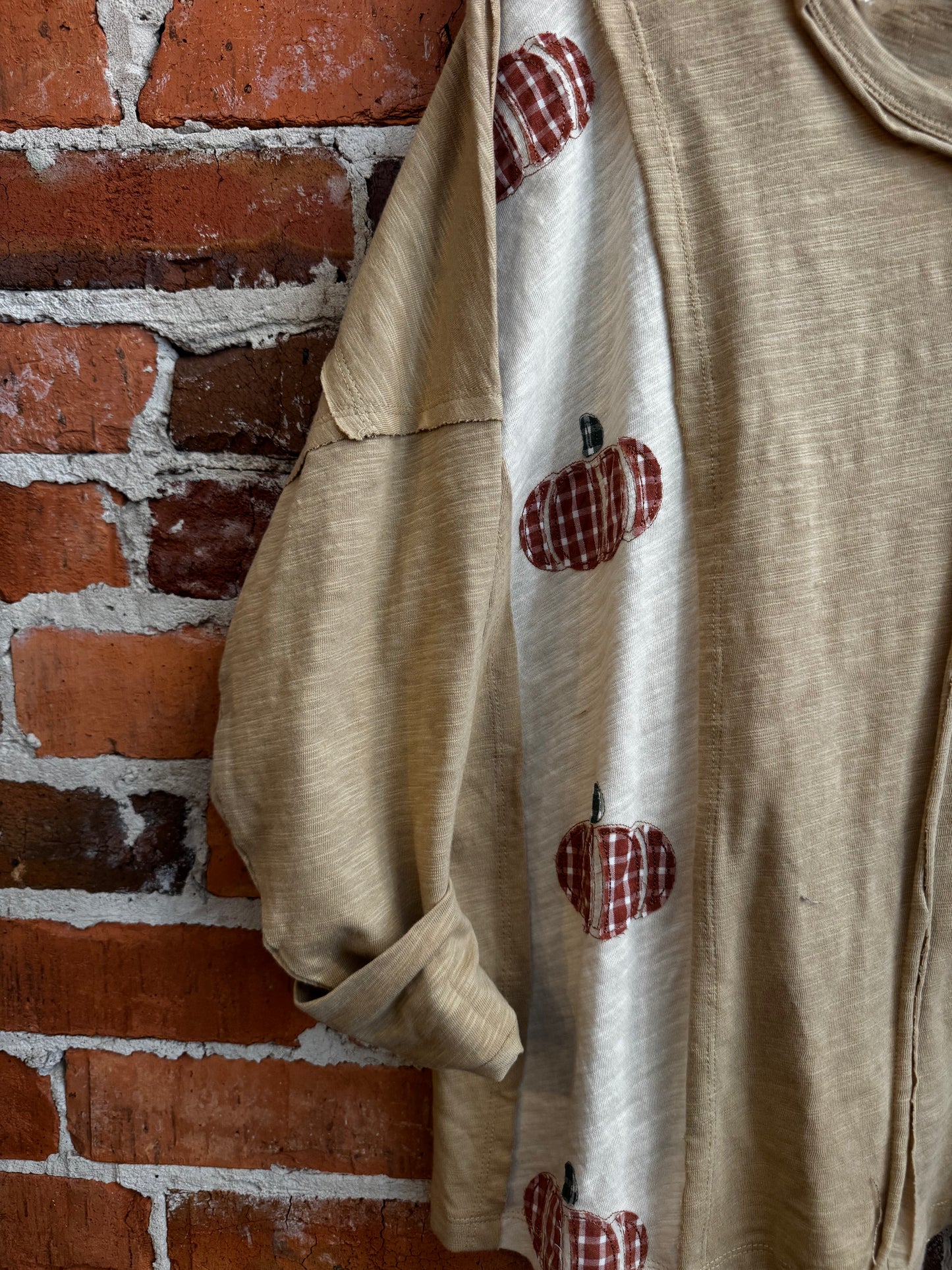 Pumpkin Patch Days – Taupe Long Sleeve Top