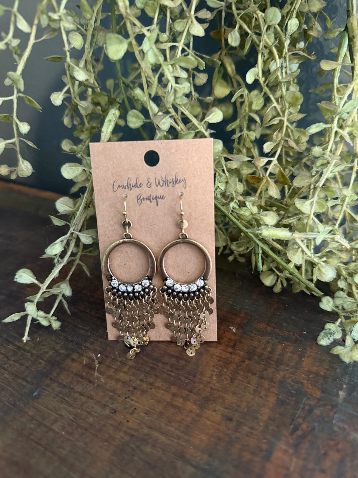 Disk Dreamer - Brass Earrings