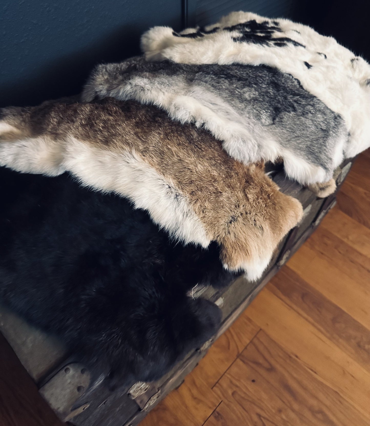 Rabbit Pelts - Multi Colors