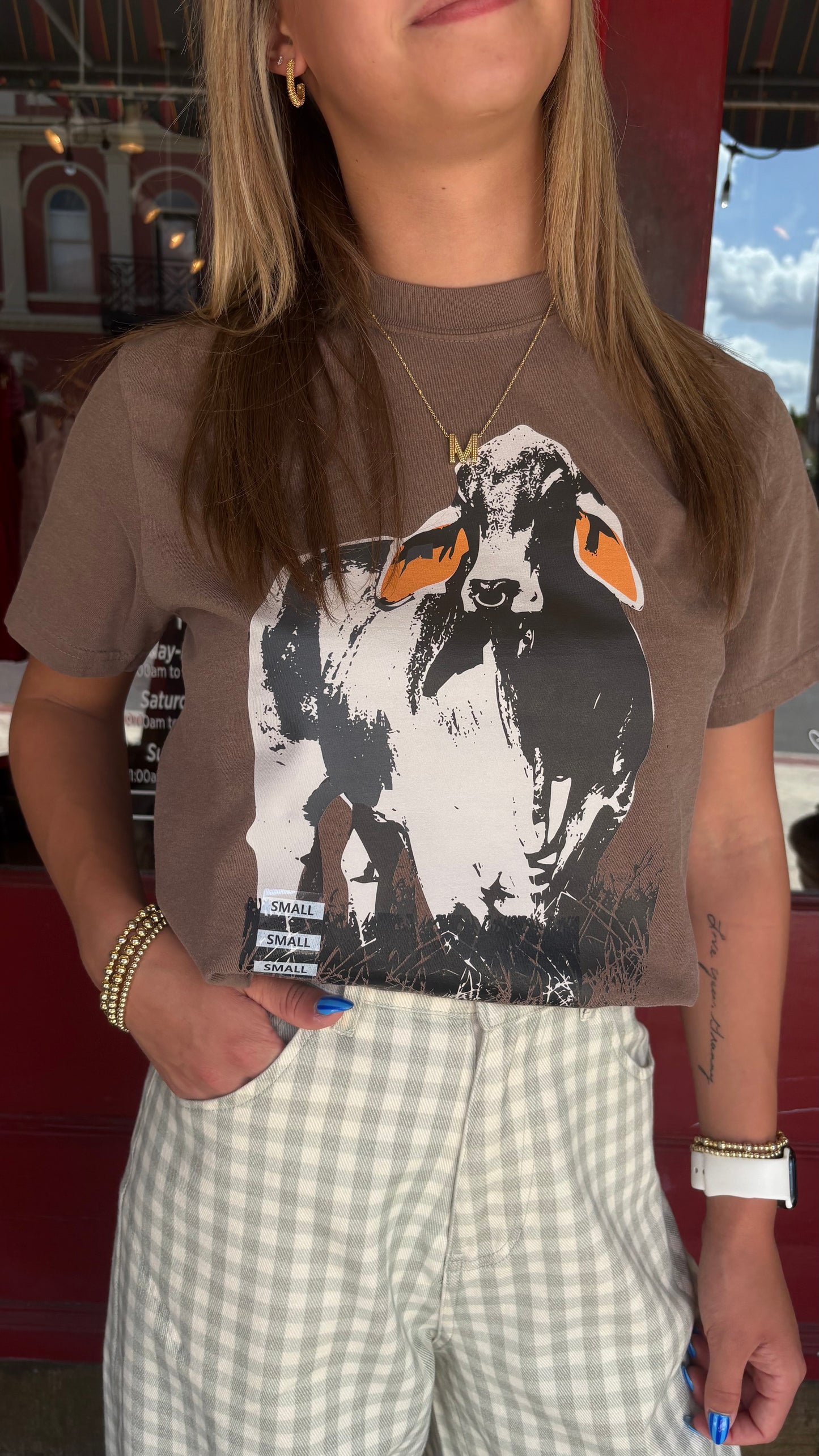 Brahman Bull - Brown Graphic T-Shirt