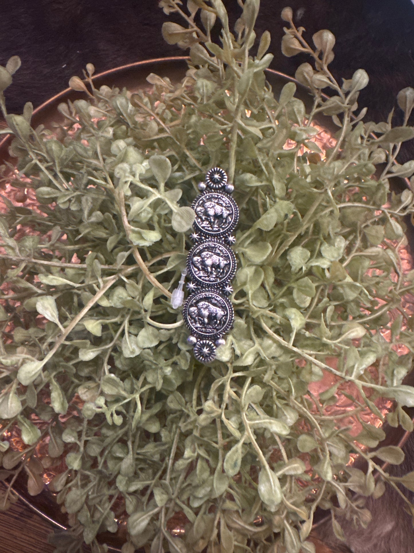 Buffalo Coins - Ring