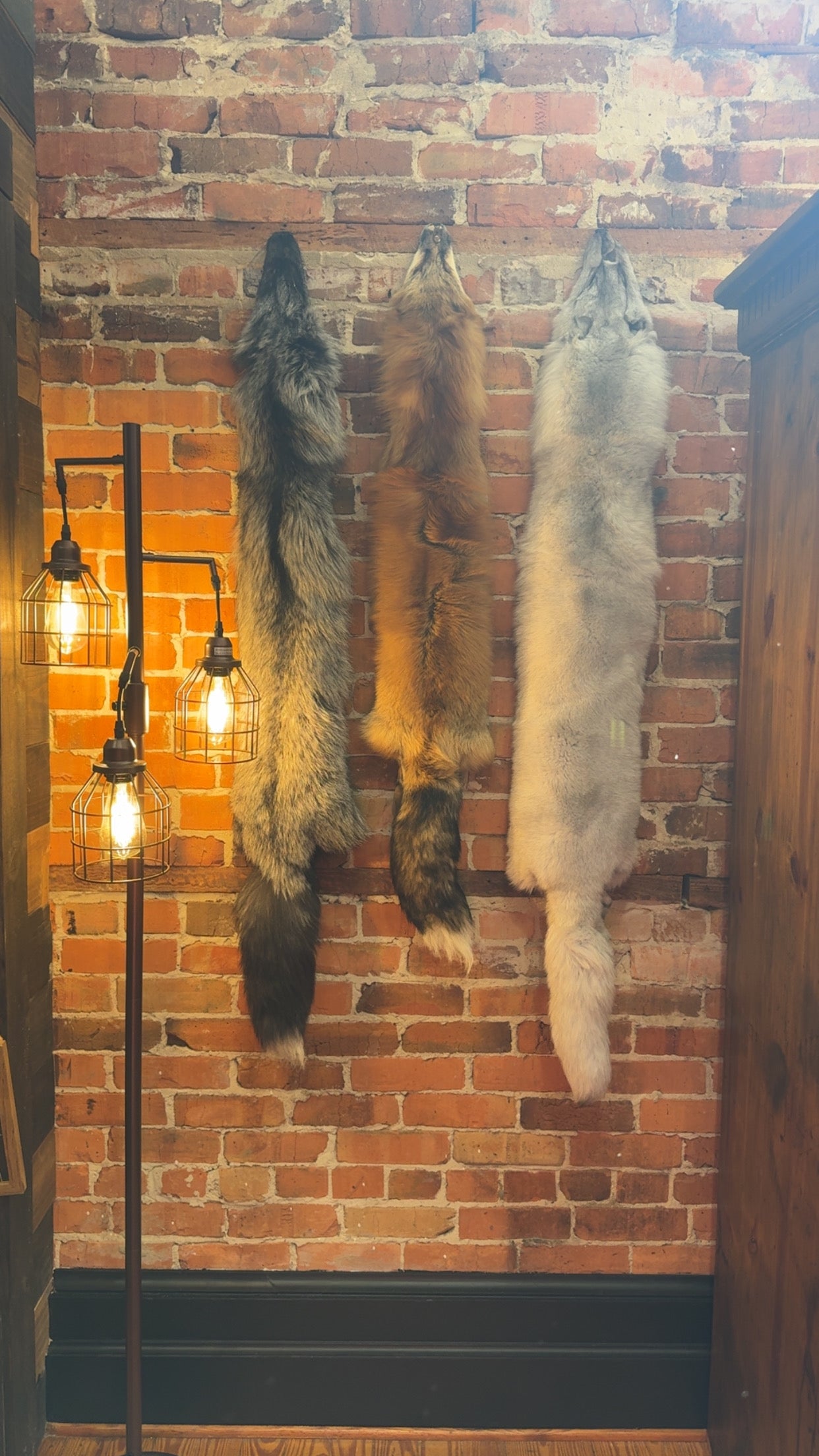 Authentic Fox Pelts
