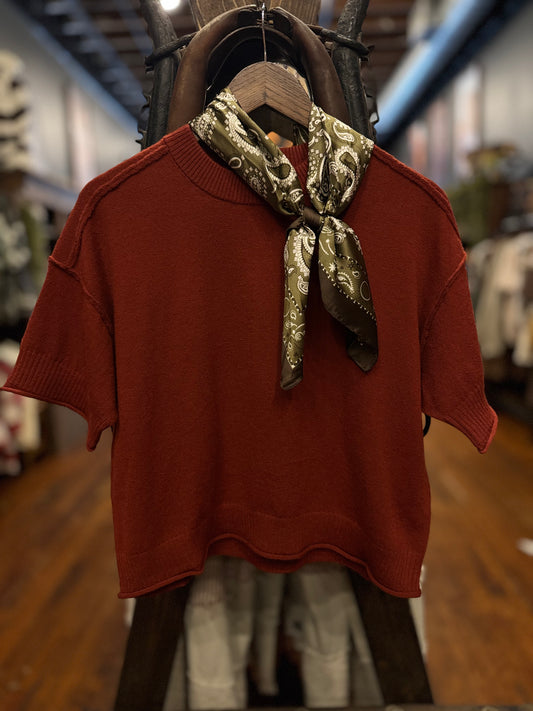 Fall Favorite – Dark Brick Crop Sweater