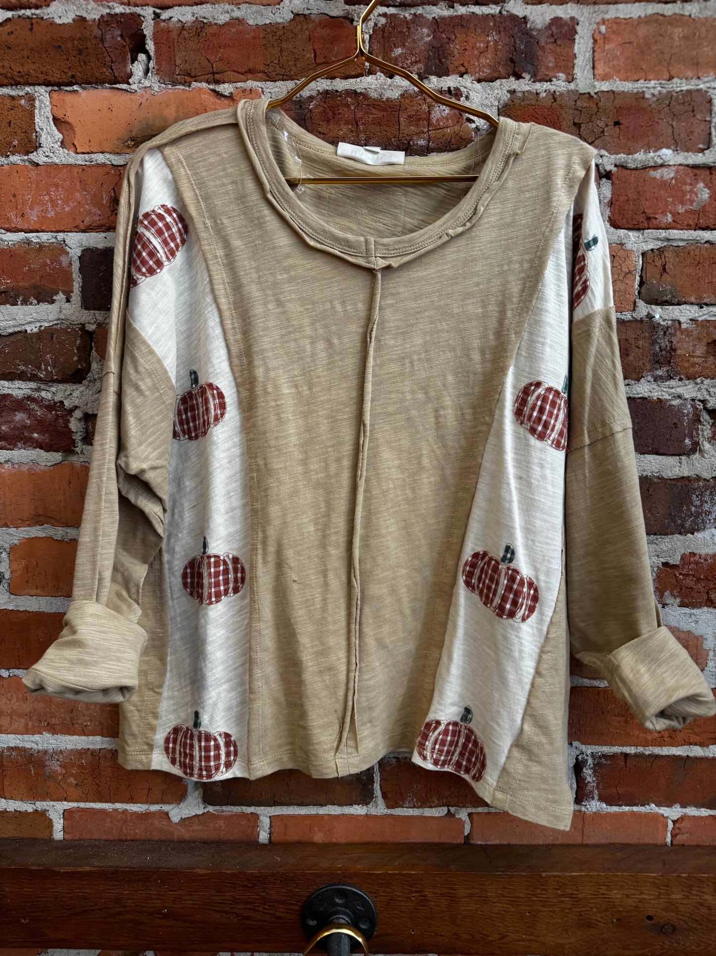 Pumpkin Patch Days – Taupe Long Sleeve Top